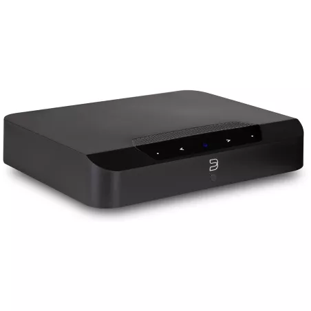 BlueSound PowerNode EDGE + S10e