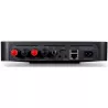 BlueSound PowerNode EDGE + S10e