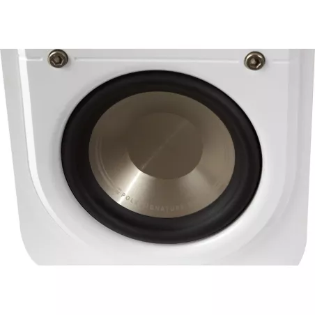 BlueSound PowerNode EDGE + S10e