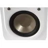 BlueSound PowerNode EDGE + S10e
