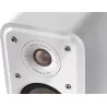 BlueSound PowerNode EDGE + S10e