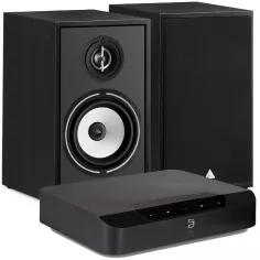 BlueSound PowerNode EDGE + Triangle Borea BR02