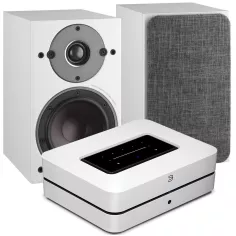 BLUESOUND POWERNODE + DALI OBERON 1