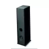 Amplificateur réseau Bluesound POWERNODE + Focal VESTIA N°2