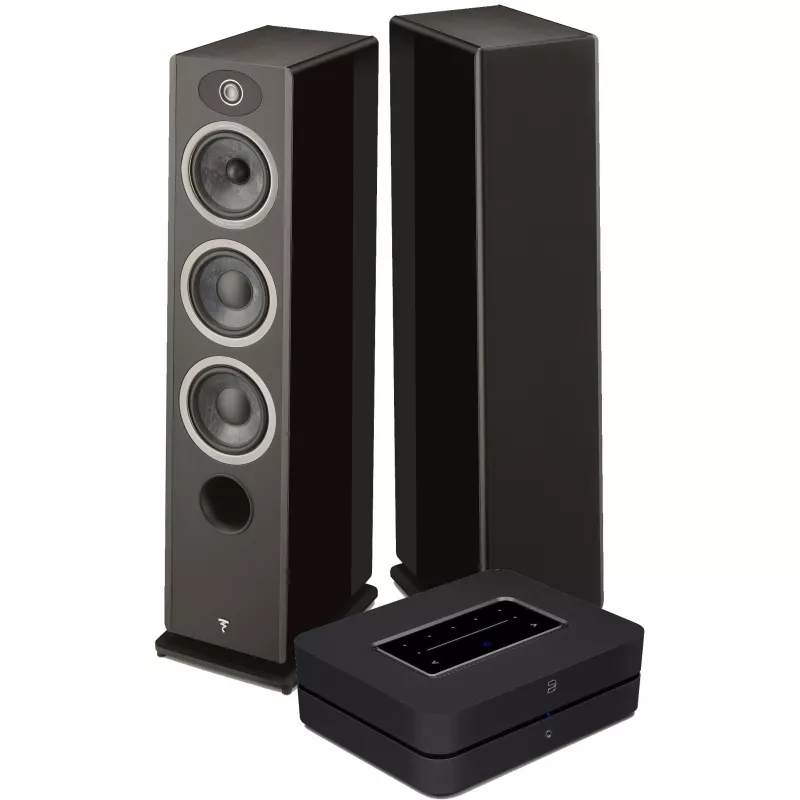 Amplificateur réseau Bluesound POWERNODE + Focal VESTIA N°2