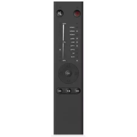 SYSTEM AUDIO SURROUND HUB