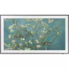 THE FRAME SAMSUNG TQ43LS03B