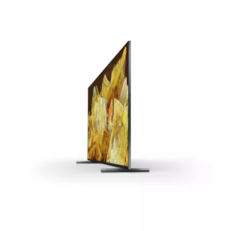 Téléviseur Dolby vision Bravia Sony XR55X90L