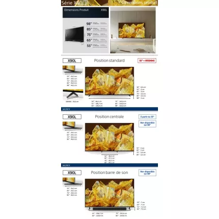 Téléviseur Dolby vision Bravia Sony XR55X90L