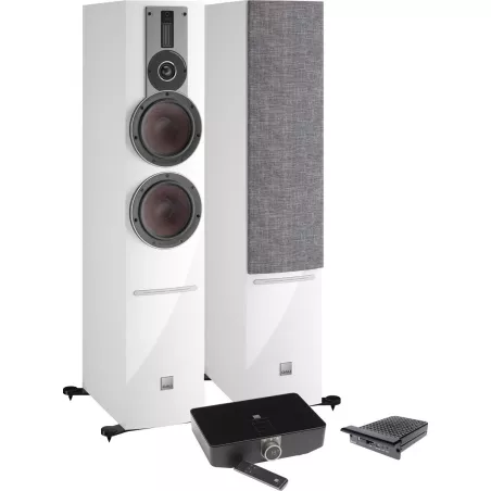 DALI RUBICON 6 C BLANC + SOUND HUB