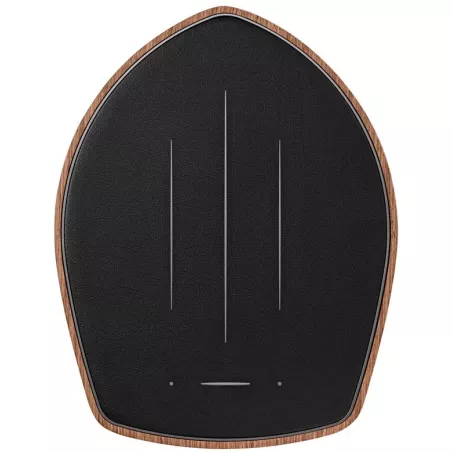 Paire d'enceintes connectées SONUS FABER DUETTO
