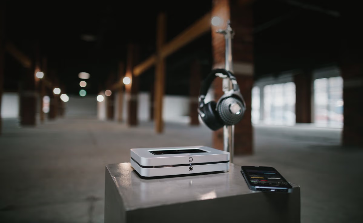 Le lecteur réseau Bluesound NODE X utilise un DAC ESS 9028Q2M Sabre.