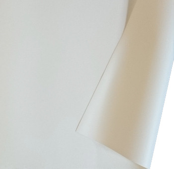 ORAY Toile de projection Nacrée