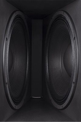 Caisson de graves Procella Audio V21