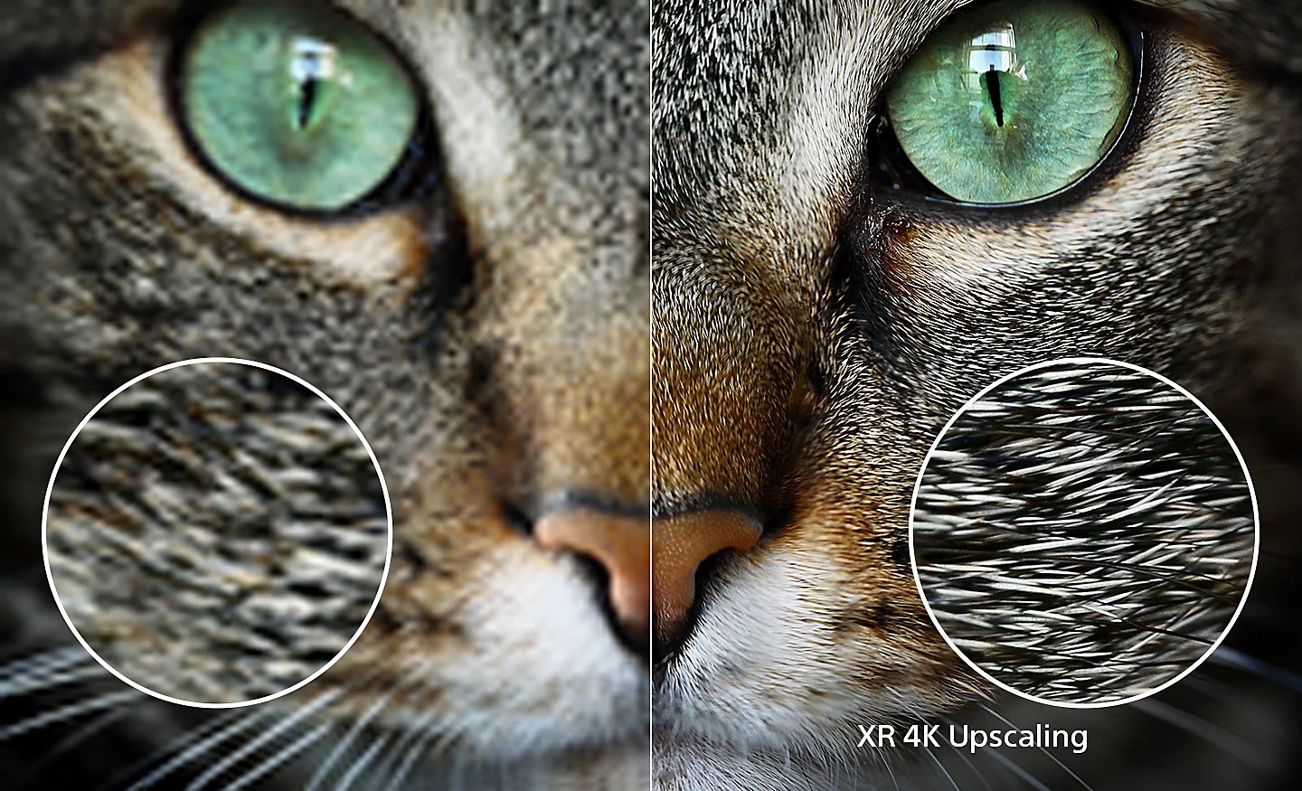 Le téléviseur Sony XR-55X90L convertit vos images à un niveau proche de la 4K.