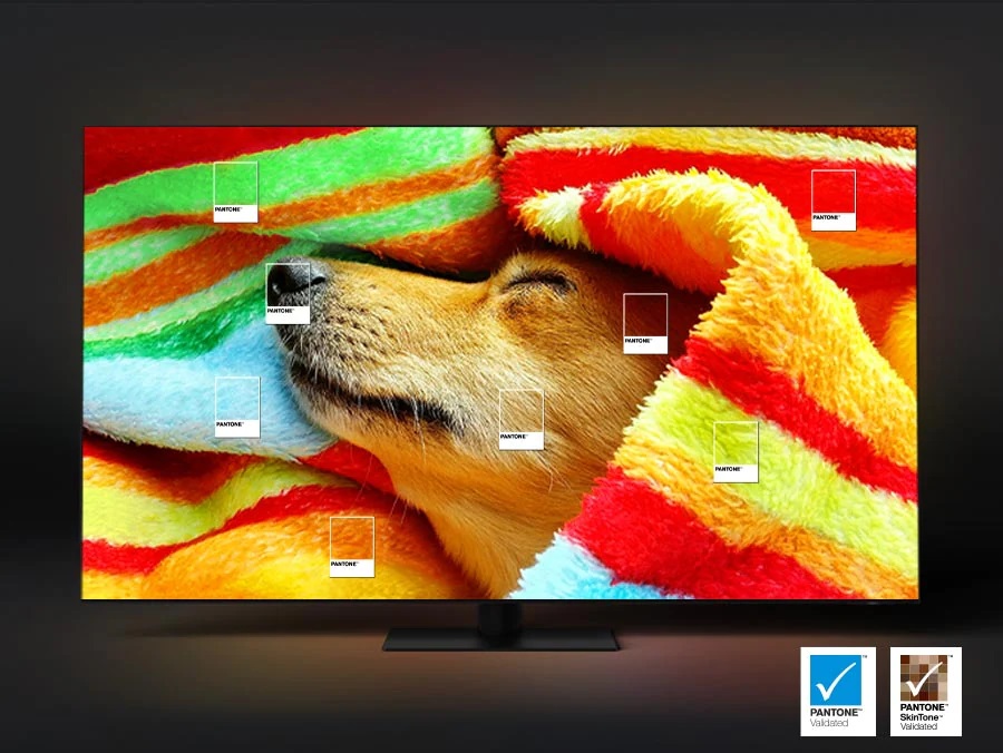 TV QLED Samsung TQ43QN90C, certifié Pantone